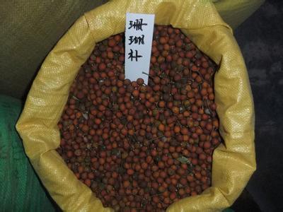 【咸陽市香椿種子價(jià)格】?jī)r(jià)格,廠家,其他種子、種苗-搜了網(wǎng)