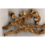 陜西榆林商洛野三七七葉一枝花哪有種子種苗出售現(xiàn)場產(chǎn)品講解新聞