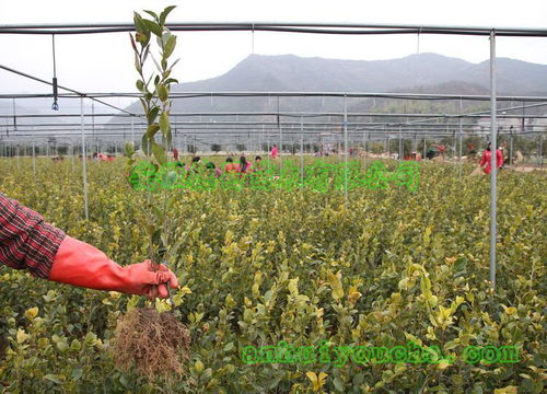 價(jià)格 廠家 中國供應(yīng)商