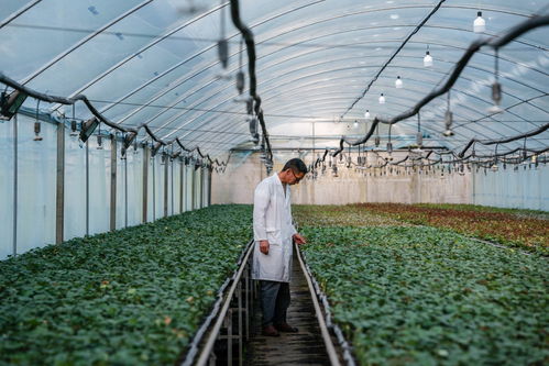 四季中國丨春日里 他們為云南花卉賦予'芯'動能 陜西種苗