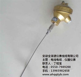 耐磨鎧裝熱電偶價格解析與安徽全球通在線咨詢指南